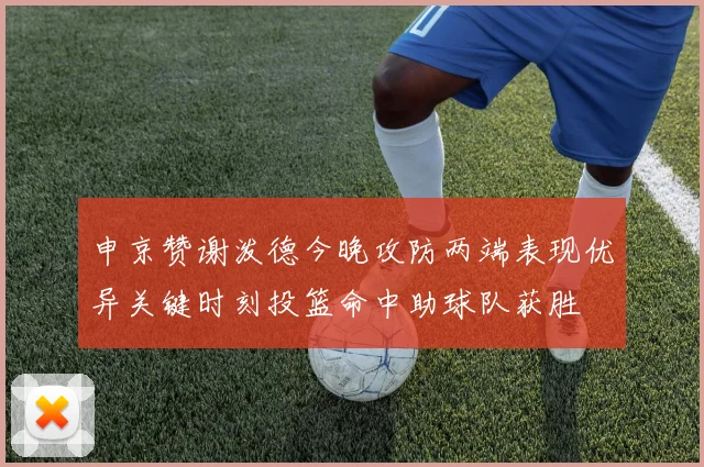 申京赞谢泼德今晚攻防两端表现优异关键时刻投篮命中助球队获胜